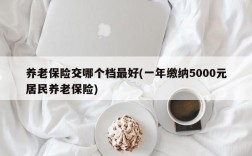 养老保险交哪个档最好(一年缴纳5000元居民养老保险)