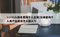 12333入姓名查询个人社保(社保查询个人用户名应该怎么输入?)