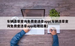 车辆违章查询免费查违章app(车辆违章查询免费查违章app处理结果)