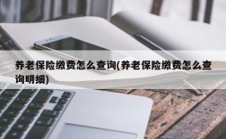 养老保险缴费怎么查询(养老保险缴费怎么查询明细)