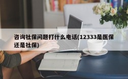 咨询社保问题打什么电话(12333是医保还是社保)