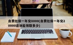 自费社保一年交8000(自费社保一年交20000退休能领取多少)