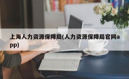 上海人力资源保障局(人力资源保障局官网app)