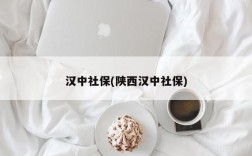 汉中社保(陕西汉中社保)