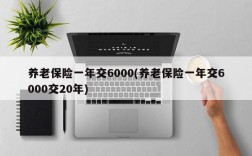 养老保险一年交6000(养老保险一年交6000交20年)