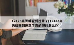 12123当天就查到违章了(12123当天就查到违章了真的假的怎么办)