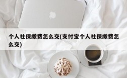 个人社保缴费怎么交(支付宝个人社保缴费怎么交)