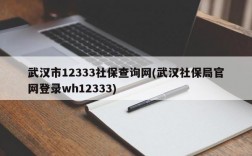 武汉市12333社保查询网(武汉社保局官网登录wh12333)