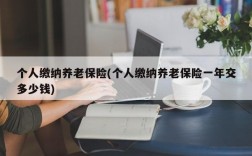 个人缴纳养老保险(个人缴纳养老保险一年交多少钱)