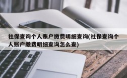 社保查询个人账户缴费明细查询(社保查询个人账户缴费明细查询怎么查)