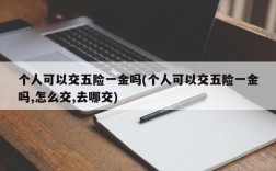 个人可以交五险一金吗(个人可以交五险一金吗,怎么交,去哪交)