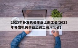 2023年补发机关事业上调工资(2023年补发机关事业上调工资河北省)