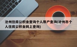 沧州住房公积金查询个人账户查询(沧州市个人住房公积金网上查询)