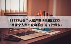 12333社保个人账户查询系统(12333社保个人账户查询系统,电子社保卡)