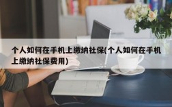 个人如何在手机上缴纳社保(个人如何在手机上缴纳社保费用)