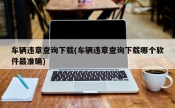 车辆违章查询下载(车辆违章查询下载哪个软件最准确)