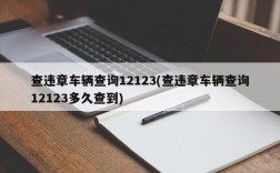 查违章车辆查询12123(查违章车辆查询12123多久查到)