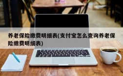 养老保险缴费明细表(支付宝怎么查询养老保险缴费明细表)