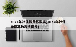 2022年社保缴费基数表(2022年社保缴费基数表格图片)