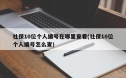 社保10位个人编号在哪里查看(社保10位个人编号怎么查)