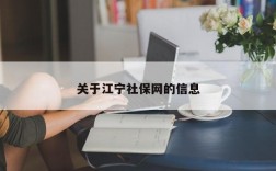 关于江宁社保网的信息