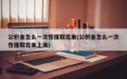 公积金怎么一次性提取出来(公积金怎么一次性提取出来上海)