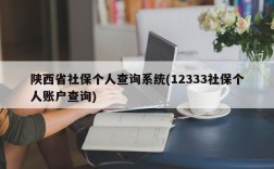 陕西省社保个人查询系统(12333社保个人账户查询)