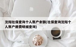 沈阳社保查询个人账户余额(社保查询沈阳个人账户缴费明细查询)