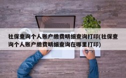 社保查询个人账户缴费明细查询打印(社保查询个人账户缴费明细查询在哪里打印)