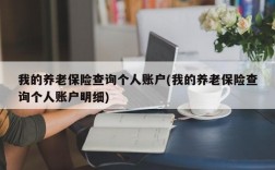 我的养老保险查询个人账户(我的养老保险查询个人账户明细)