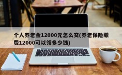 个人养老金12000元怎么交(养老保险缴费12000可以领多少钱)