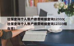 社保查询个人账户缴费明细查询12333(社保查询个人账户缴费明细查询12333烟台市)