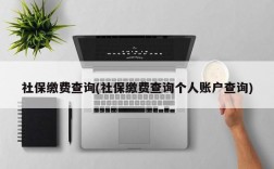 社保缴费查询(社保缴费查询个人账户查询)