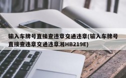 输入车牌号直接查违章交通违章(输入车牌号直接查违章交通违章湘HB219E)