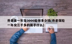 养老金一年交3000能领多少钱(养老保险一年交三千多的属于什么)