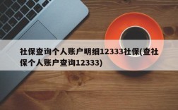 社保查询个人账户明细12333社保(查社保个人账户查询12333)