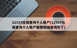 12333社保查询个人账户(12333社保查询个人账户缴费明细查询不了)