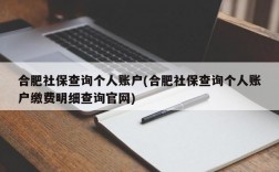 合肥社保查询个人账户(合肥社保查询个人账户缴费明细查询官网)