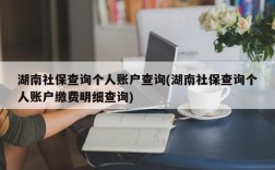 湖南社保查询个人账户查询(湖南社保查询个人账户缴费明细查询)