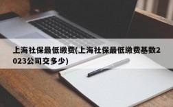 上海社保最低缴费(上海社保最低缴费基数2023公司交多少)