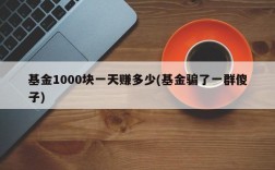 基金1000块一天赚多少(基金骗了一群傻子)