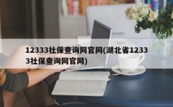 12333社保查询网官网(湖北省12333社保查询网官网)