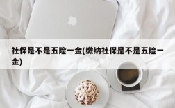 社保是不是五险一金(缴纳社保是不是五险一金)