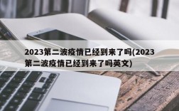 2023第二波疫情已经到来了吗(2023第二波疫情已经到来了吗英文)