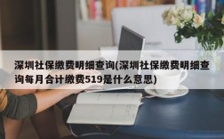 深圳社保缴费明细查询(深圳社保缴费明细查询每月合计缴费519是什么意思)