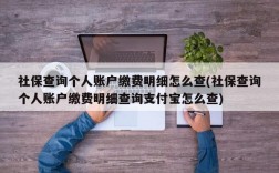 社保查询个人账户缴费明细怎么查(社保查询个人账户缴费明细查询支付宝怎么查)