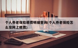 个人养老保险缴费明细查询(个人养老保险怎么交网上缴费)